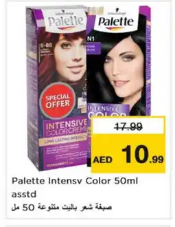 Nesto PALETTE Hair Colour offer