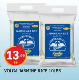 Al Madina VOLGA Jasmine Rice offer