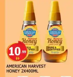 Al Madina AMERICAN HARVEST Honey offer