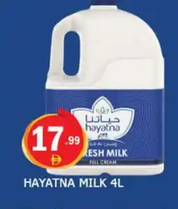 Al Madina HAYATNA Full Cream Milk offer