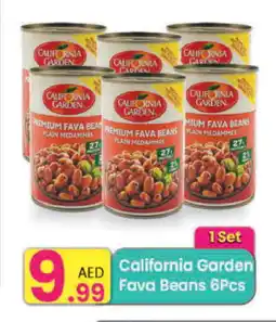 Everyday Center CALIFORNIA GARDEN Fava Beans offer