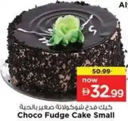 Nesto Choco Fudge Cake Small offer