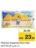 Nesto Pharoes Egyptian Rice offer