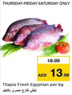 Nesto Tilapia Fresh Egyptian offer