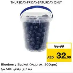 Nesto Blueberry Bucket offer
