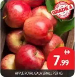 Bigmart Apple royal gala small offer