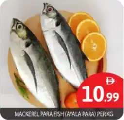 Bigmart Mackerel para fish offer