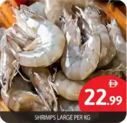Bigmart Shrimps large offer
