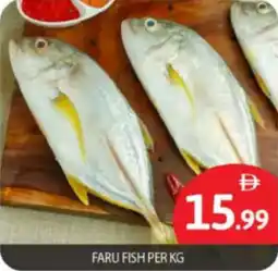 Bigmart Faru fish offer