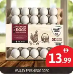 Bigmart Valley fresh egg offer