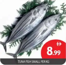 Bigmart Tuna fish small offer