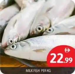 Bigmart Milk fish offer