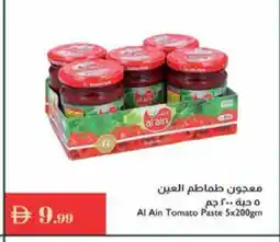 Istanbul Supermarket AL AIN Tomato Paste offer