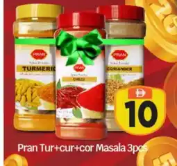 Bigmart PRAN Spices / Masala offer