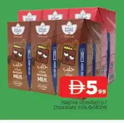 Al Madina HAYATNA Flavoured Milk offer