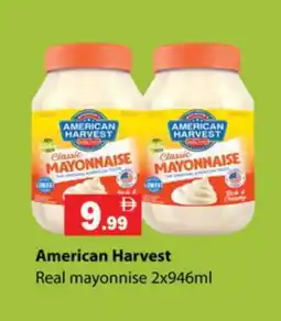 Gulf Hypermarket AMERICAN HARVEST Mayonnaise offer