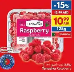 Viva Terraviva raspberry offer