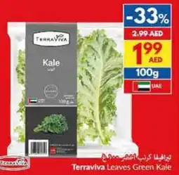 Viva Terraviva leaves green kale offer