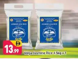 Shaklan VOLGA Jasmine Rice offer