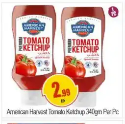Bigmart AMERICAN HARVEST Tomato Ketchup offer