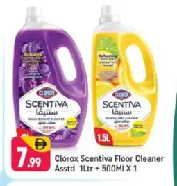 Shaklan CLOROX General Cleaner offer