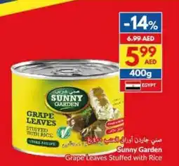 Viva Sunny garden grape leaves stuffed with rice offer