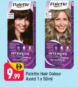 Shaklan PALETTE Hair Colour offer