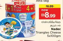 Last Chance NADEC Triangle Cheese offer