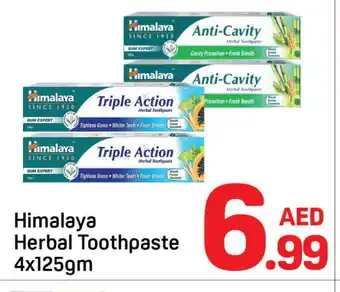 Day To Day HIMALAYA Toothpaste offer