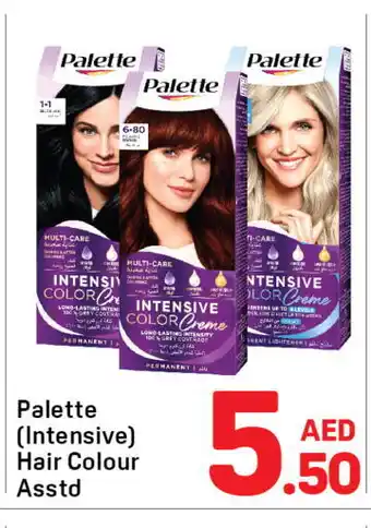Day To Day PALETTE Hair Colour offer