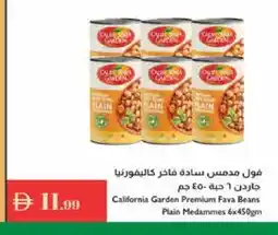 Istanbul Supermarket CALIFORNIA Fava Beans offer