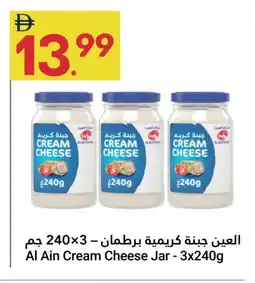 Grand Emirates Market AL AIN Cream Cheese offer
