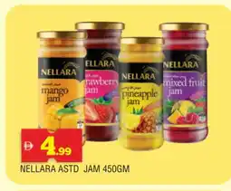 Al Madina NELLARA Jam offer