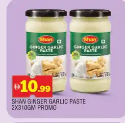 Al Madina SHAN Garlic Paste offer