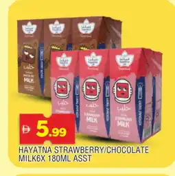 Al Madina HAYATNA Flavoured Milk offer