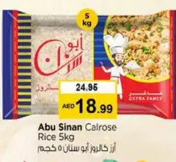 Nesto SINAN Egyptian / Calrose Rice offer