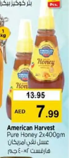Nesto AMERICAN HARVEST Honey offer