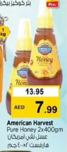 Nesto AMERICAN HARVEST Honey offer