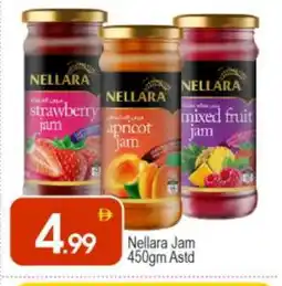 Bigmart NELLARA Jam offer