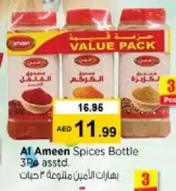 Nesto AL AMEEN Spices / Masala offer
