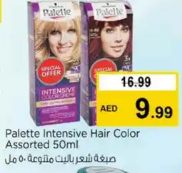 Nesto PALETTE Hair Colour offer