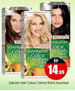 Bigmart GARNIER Hair Colour offer