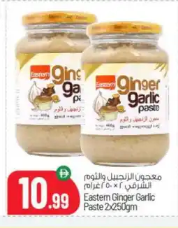 Bigmart EASTERN Garlic Paste offer
