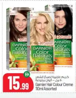 Bigmart GARNIER Hair Cream offer