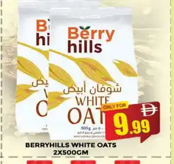 Al Madina BERRY HILLS Oats offer