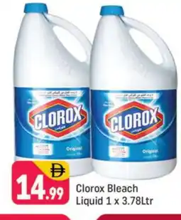 Shaklan CLOROX Bleach offer