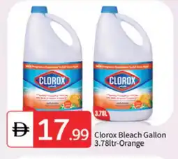 Talal Market CLOROX Bleach offer