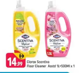 Shaklan CLOROX General Cleaner offer