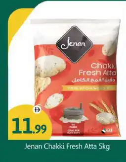 Bigmart JENAN Atta offer