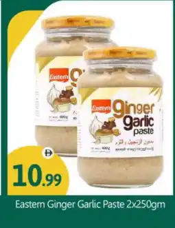 Bigmart EASTERN Garlic Paste offer
